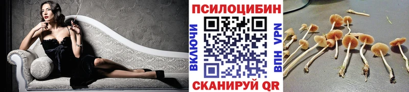Галлюциногенные грибы Cubensis  где найти наркотики  Цимлянск 